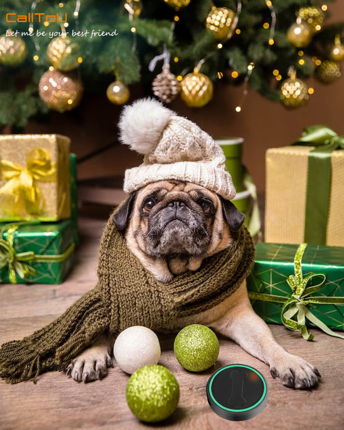 🌟 Calling all dog lovers! 🐾