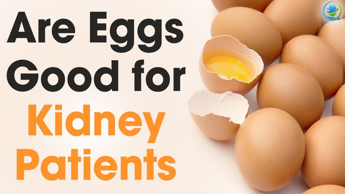 Is Egg Good for the Kidneys? CallToU