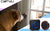 CallToU How to train your dog?