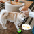 CallToU About the potential benefits of teaching pets to use recording buttons.