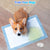 CallTou WiFi Smart Dog Bell for Potty Training - Your Canine's Perfect Potty Partner CallToU